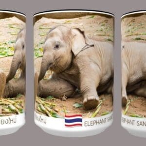 Adorable baby elephant resting on ground.