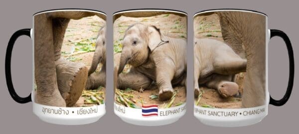 Elephant Nature Park: Baby Elephant Coffee Cup