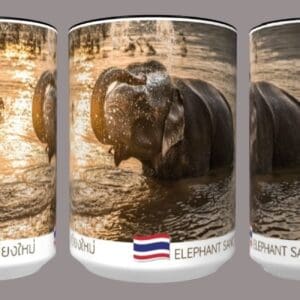 Elephant bathing in Chiang Mai river.