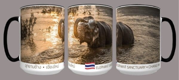 Elephant Nature Park: Elephant in Lake Coffee Cup